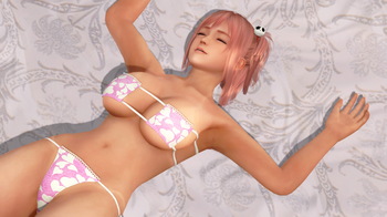 DEAD OR ALIVE Xtreme 3 Fortune (22).jpeg