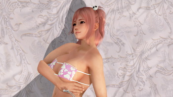 DEAD OR ALIVE Xtreme 3 Fortune (23).jpeg